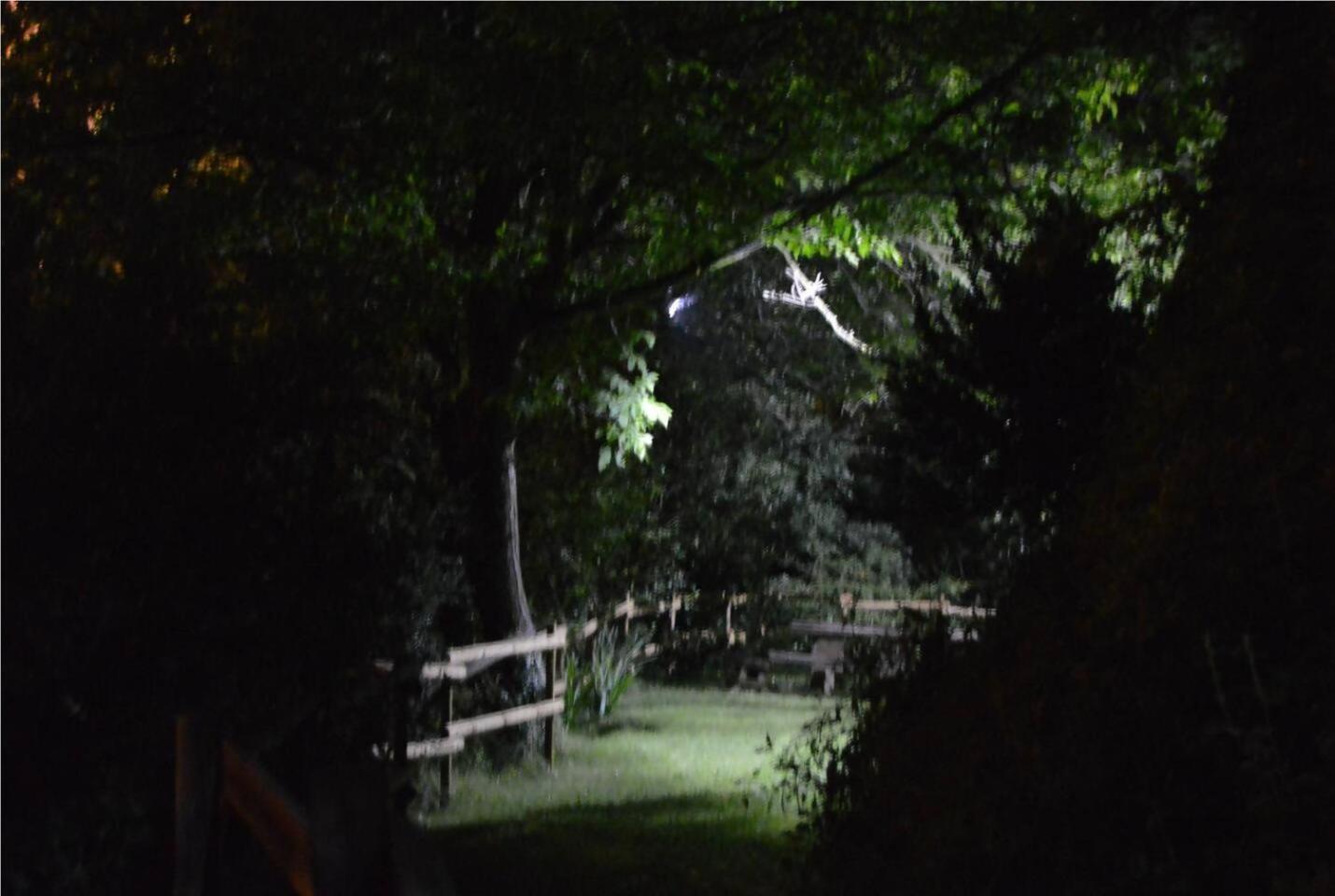 El Cajigar Ordesa Ainsa Casa Rural Laspuña Buitenkant foto